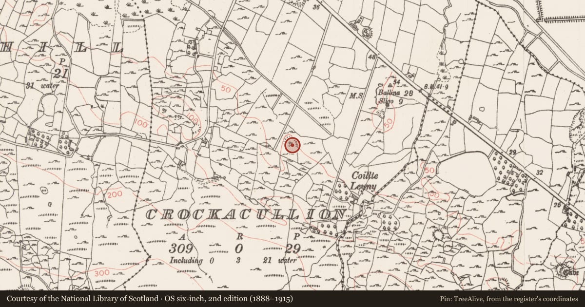 Ordnance Survey six-inch map, 2nd edition (1888–1915) covering the location of Earthwork, Crockacullion, County Sligo, with a pin at the register's coordinates