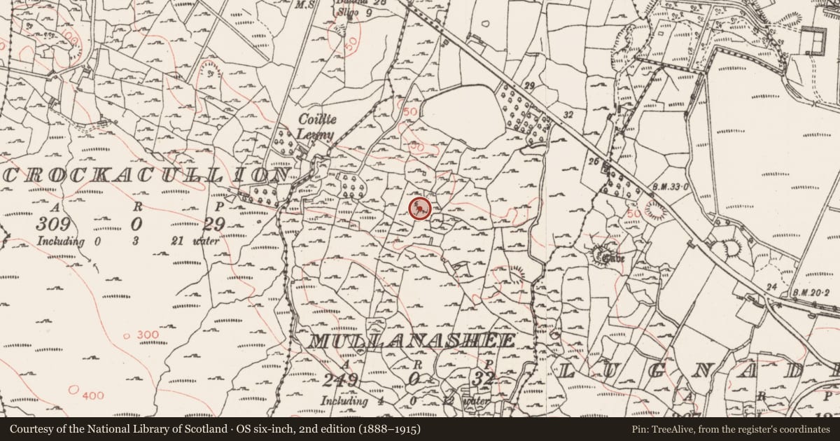 Ordnance Survey six-inch map, 2nd edition (1888–1915) covering the location of Ringfort - rath, Mullanashee, County Sligo, with a pin at the register's coordinates