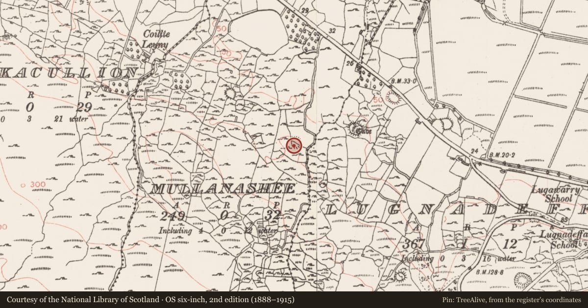 Ordnance Survey six-inch map, 2nd edition (1888–1915) covering the location of Ringfort - rath, Mullanashee, County Sligo, with a pin at the register's coordinates