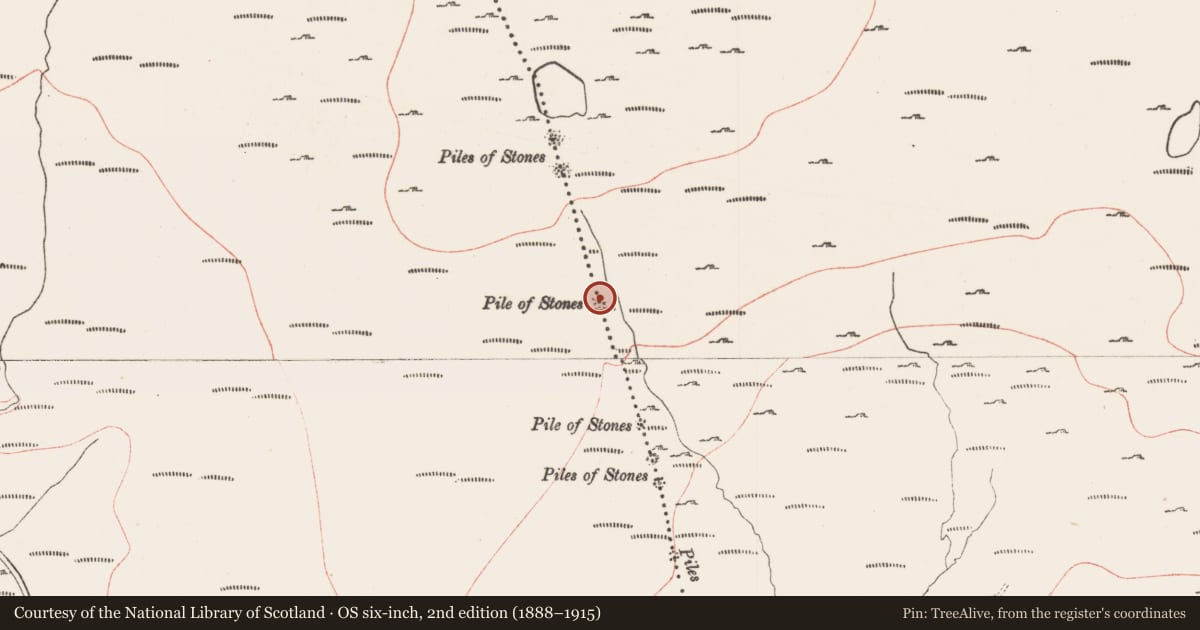 Ordnance Survey six-inch map, 2nd edition (1888–1915) covering the location of Cairn - boundary cairn, Cabragh, Gortakeeran, County Sligo, with a pin at the register's coordinates