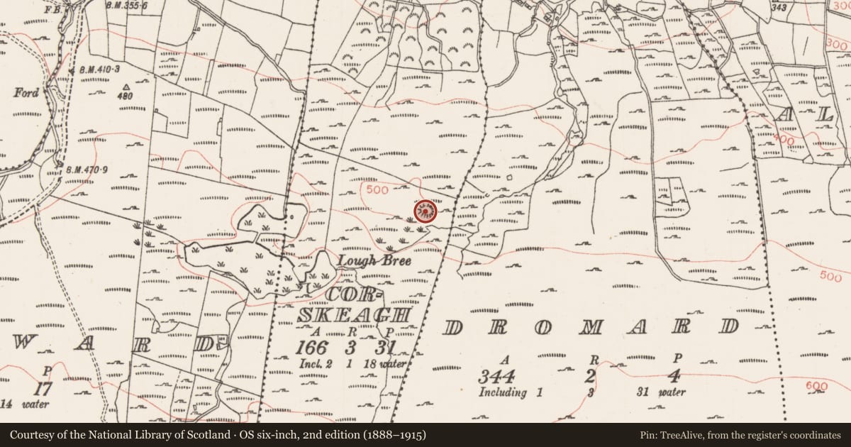 Ordnance Survey six-inch map, 2nd edition (1888–1915) covering the location of Ringfort - cashel, Corskeagh, County Sligo, with a pin at the register's coordinates