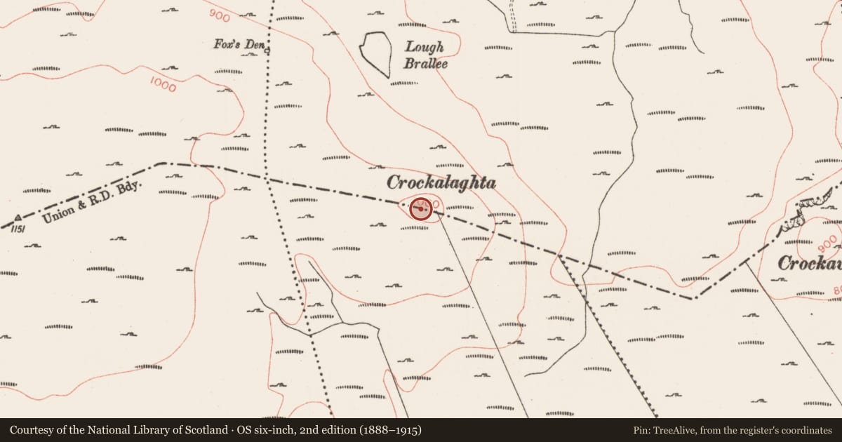 Ordnance Survey six-inch map, 2nd edition (1888–1915) covering the location of Cairn - unclassified, Altanelvick, Carrowgavneen, County Sligo, with a pin at the register's coordinates