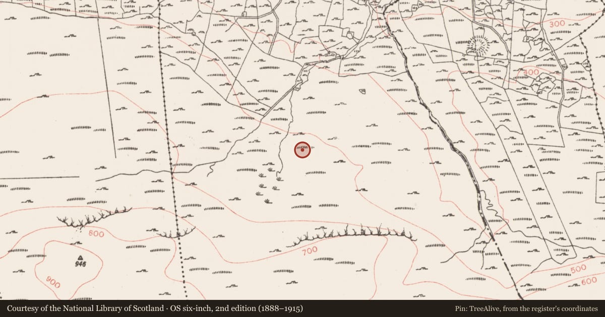 Ordnance Survey six-inch map, 2nd edition (1888–1915) covering the location of Anomalous stone group, Lugbaun, County Sligo, with a pin at the register's coordinates