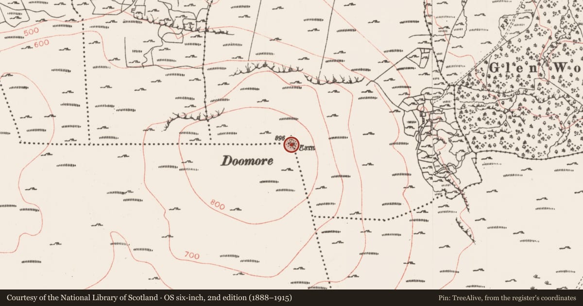 Ordnance Survey six-inch map, 2nd edition (1888–1915) covering the location of Megalithic tomb - passage tomb, Mullanashee, Rathosey, County Sligo, with a pin at the register's coordinates