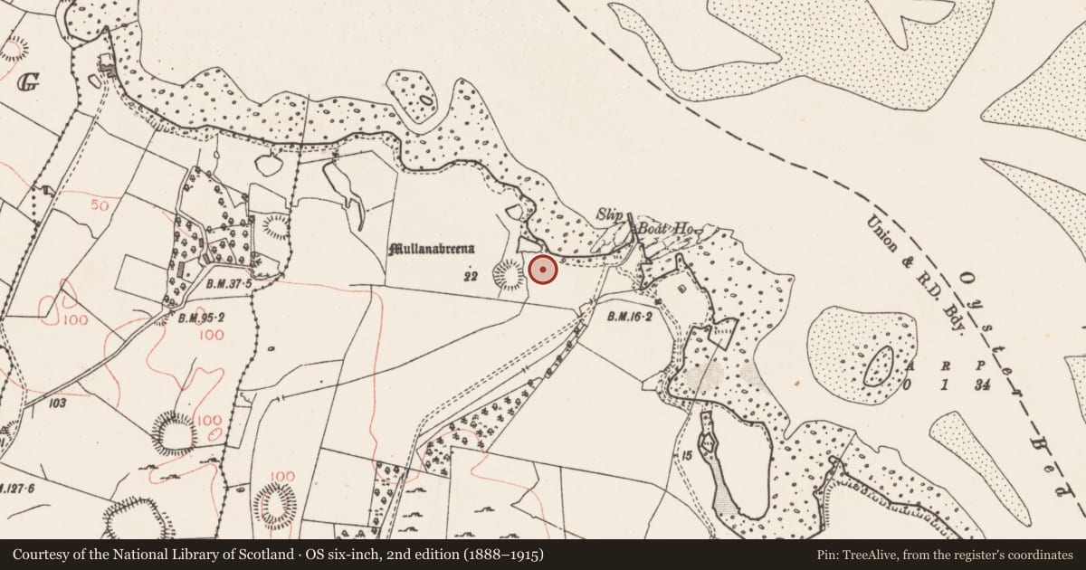 Ordnance Survey six-inch map, 2nd edition (1888–1915) covering the location of House - indeterminate date, Tanrego West, County Sligo, with a pin at the register's coordinates