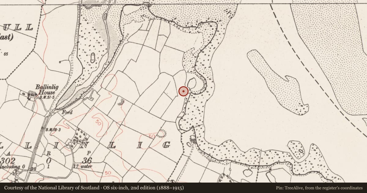 Ordnance Survey six-inch map, 2nd edition (1888–1915) covering the location of Barrow - unclassified, Ballinlig, County Sligo, with a pin at the register's coordinates