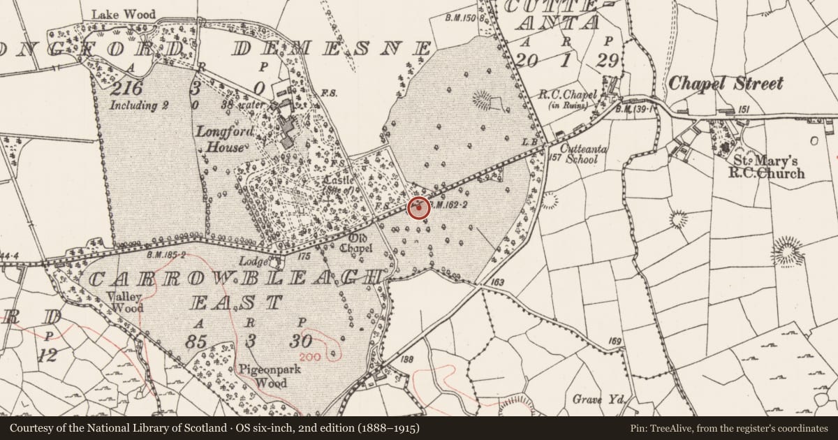 Ordnance Survey six-inch map, 2nd edition (1888–1915) covering the location of Armorial plaque, Longford Demesne, County Sligo, with a pin at the register's coordinates