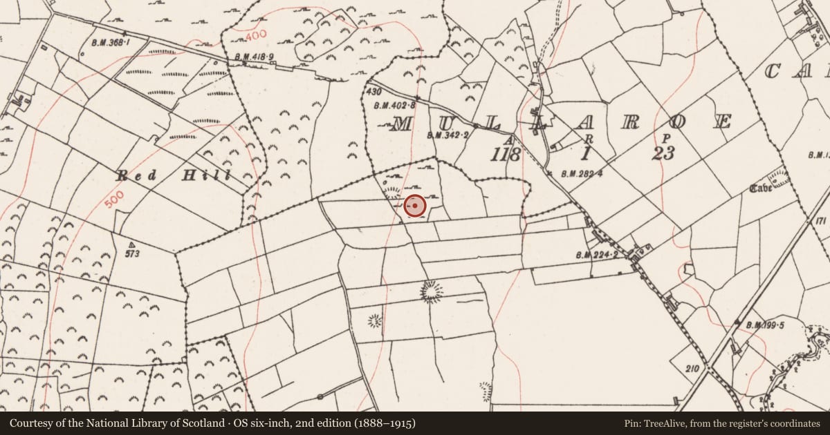 Ordnance Survey six-inch map, 2nd edition (1888–1915) covering the location of Souterrain, Lecarrow, County Sligo, with a pin at the register's coordinates