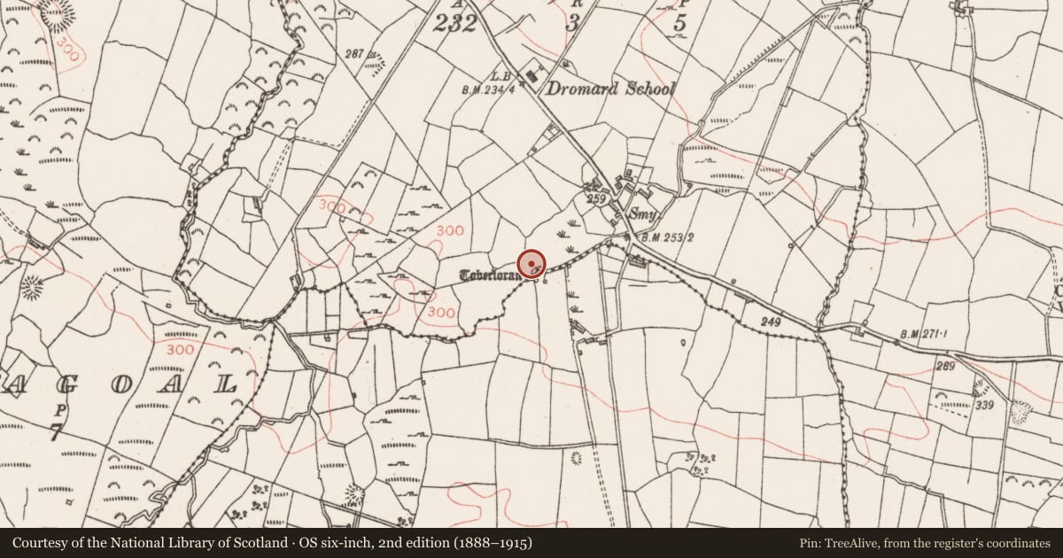 Ordnance Survey six-inch map, 2nd edition (1888–1915) covering the location of Burnt mound, Ross, County Sligo, with a pin at the register's coordinates