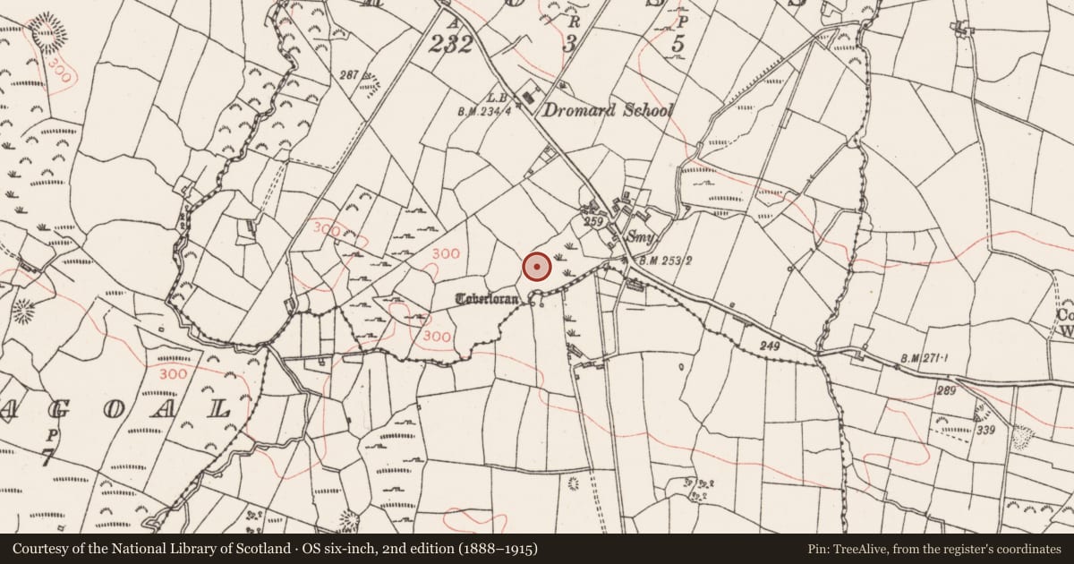 Ordnance Survey six-inch map, 2nd edition (1888–1915) covering the location of Burnt mound, Ross, County Sligo, with a pin at the register's coordinates