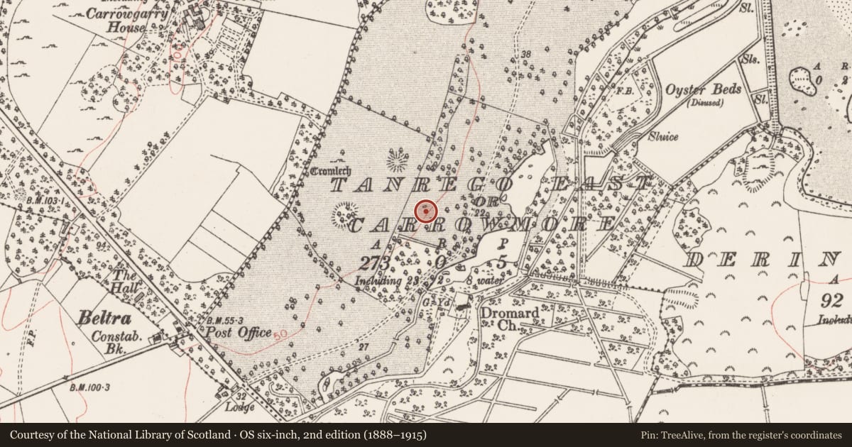 Ordnance Survey six-inch map, 2nd edition (1888–1915) covering the location of Standing stone - pair, Tanrego East Or Carrowmore, County Sligo, with a pin at the register's coordinates