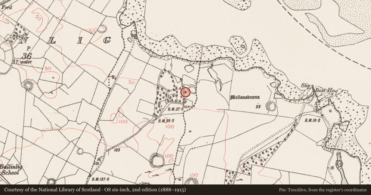Ordnance Survey six-inch map, 2nd edition (1888–1915) covering the location of Burnt mound, Carrownacreevy, County Sligo, with a pin at the register's coordinates