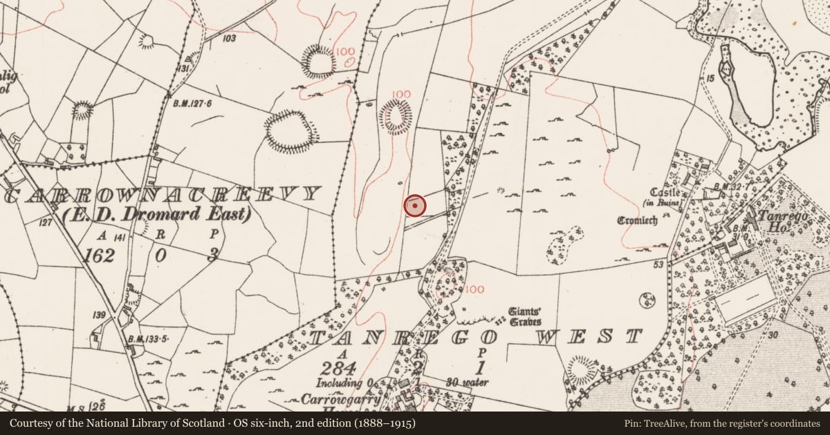 Ordnance Survey six-inch map, 2nd edition (1888–1915) covering the location of Burnt mound, Tanrego West, County Sligo, with a pin at the register's coordinates