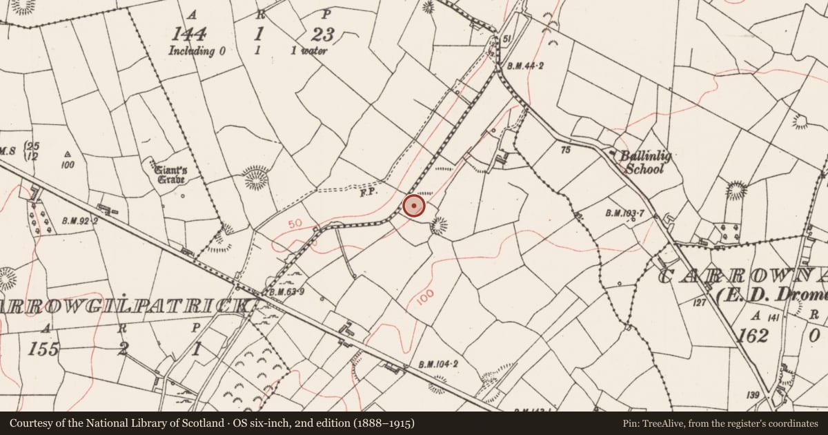 Ordnance Survey six-inch map, 2nd edition (1888–1915) covering the location of Burnt mound, Lisnarawer, County Sligo, with a pin at the register's coordinates