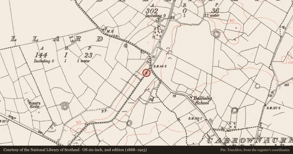 Ordnance Survey six-inch map, 2nd edition (1888–1915) covering the location of Burnt mound, Lisnarawer, County Sligo, with a pin at the register's coordinates