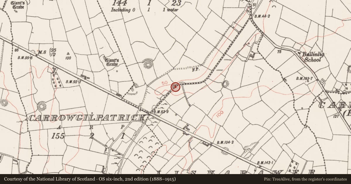 Ordnance Survey six-inch map, 2nd edition (1888–1915) covering the location of Burnt mound, Ballard, Lisnarawer, County Sligo, with a pin at the register's coordinates