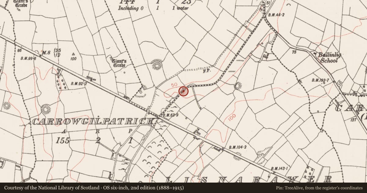 Ordnance Survey six-inch map, 2nd edition (1888–1915) covering the location of Burnt mound, Ballard, Lisnarawer, County Sligo, with a pin at the register's coordinates