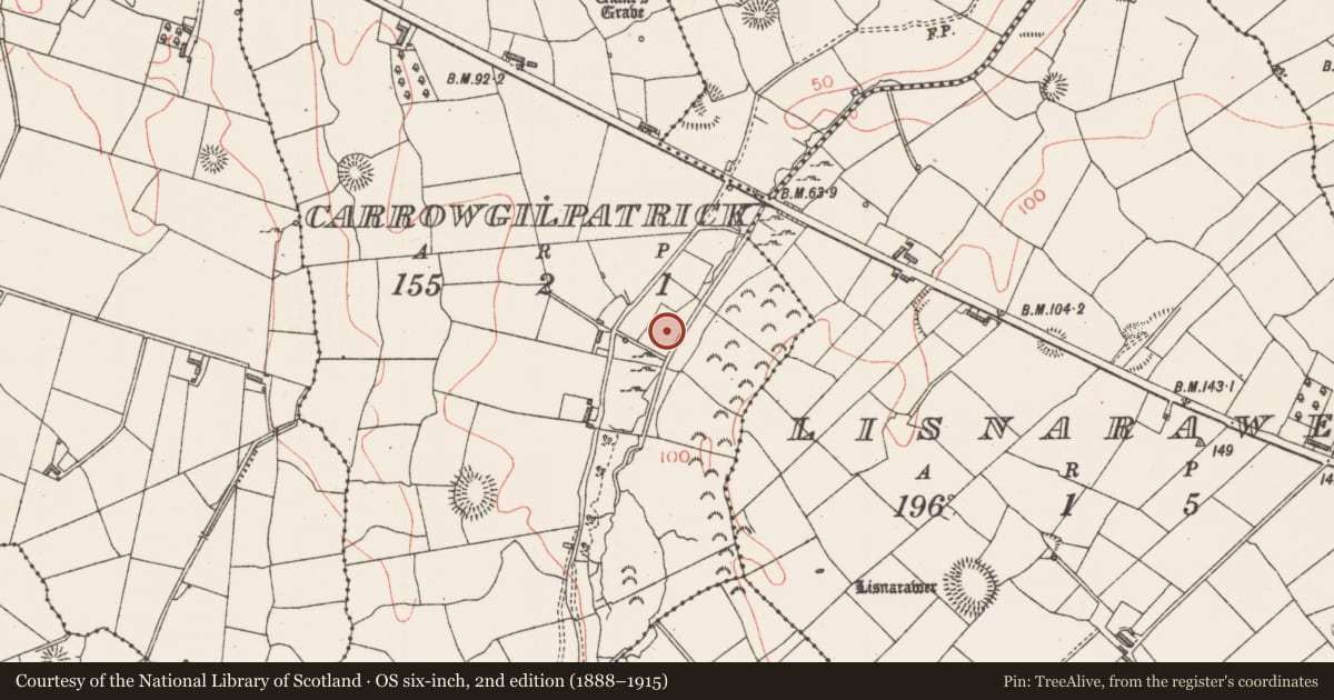 Ordnance Survey six-inch map, 2nd edition (1888–1915) covering the location of Burnt mound, Carrowgilpatrick, County Sligo, with a pin at the register's coordinates