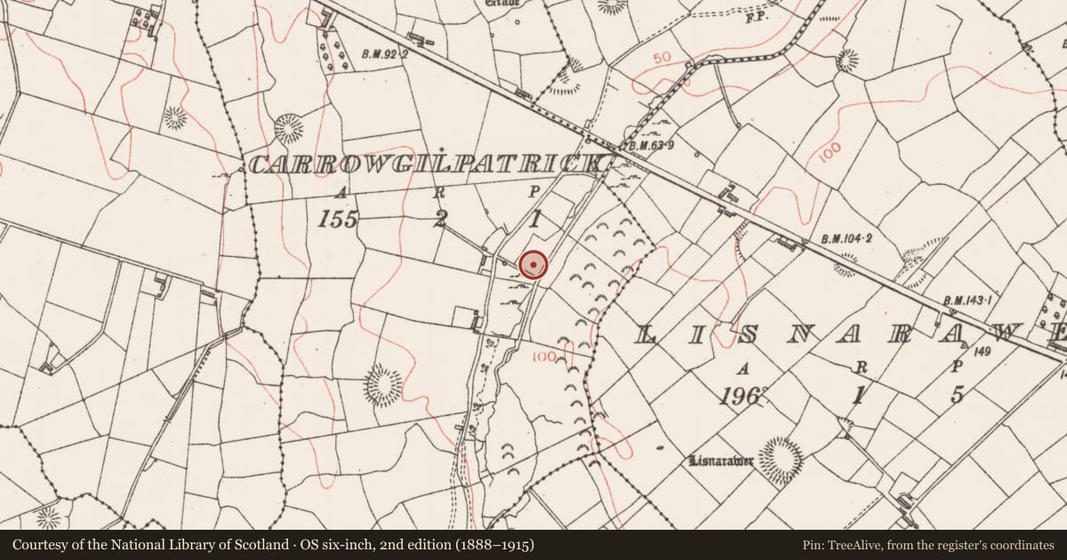 Ordnance Survey six-inch map, 2nd edition (1888–1915) covering the location of Fulacht fia, Carrowgilpatrick, County Sligo, with a pin at the register's coordinates