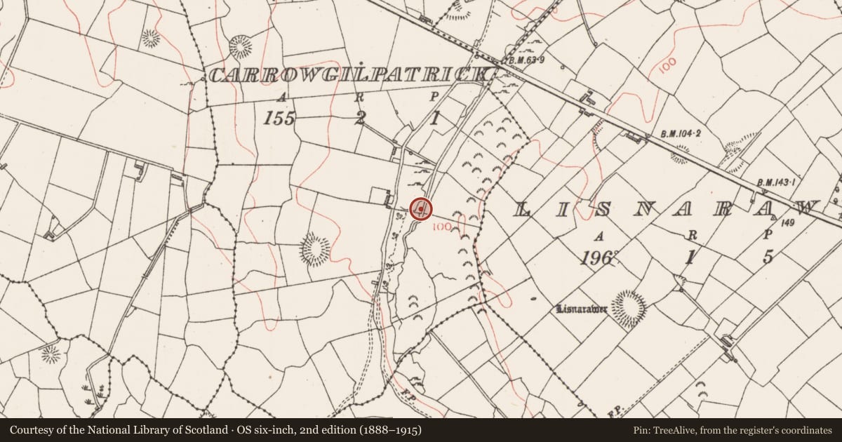 Ordnance Survey six-inch map, 2nd edition (1888–1915) covering the location of Burnt mound, Carrowgilpatrick, County Sligo, with a pin at the register's coordinates