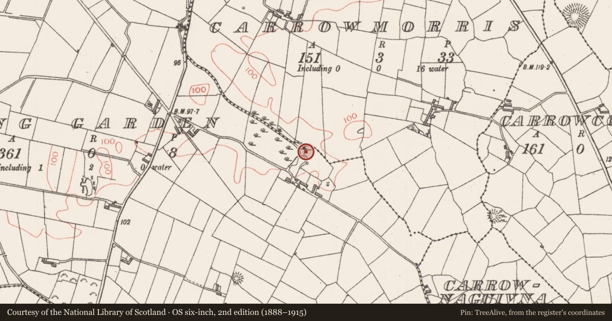 Ordnance Survey six-inch map, 2nd edition (1888–1915) covering the location of Fulacht fia, Spring Garden, County Sligo, with a pin at the register's coordinates