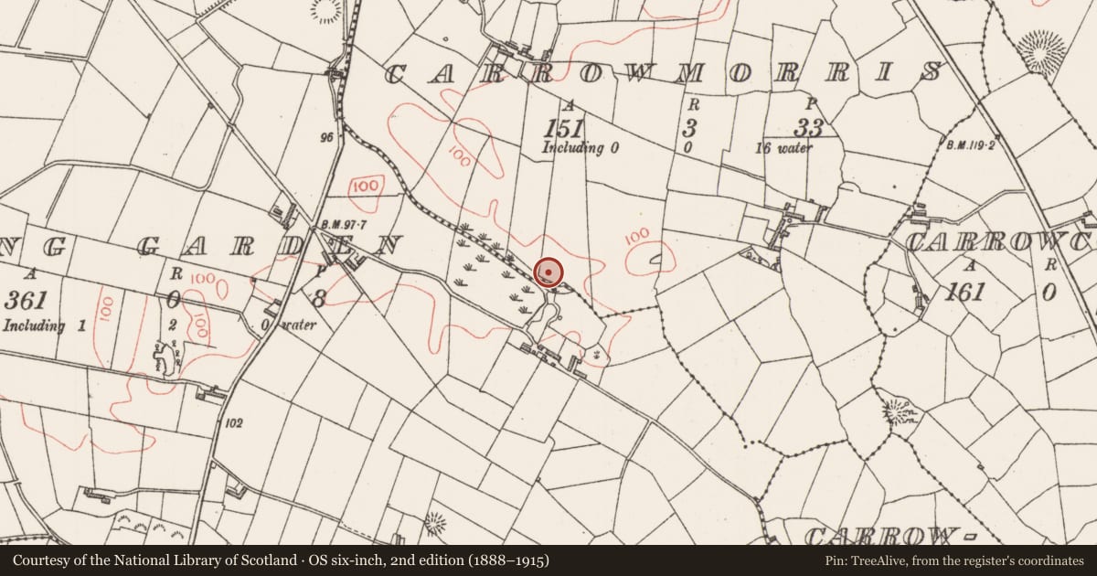 Ordnance Survey six-inch map, 2nd edition (1888–1915) covering the location of Burnt mound, Carrowmorris, County Sligo, with a pin at the register's coordinates