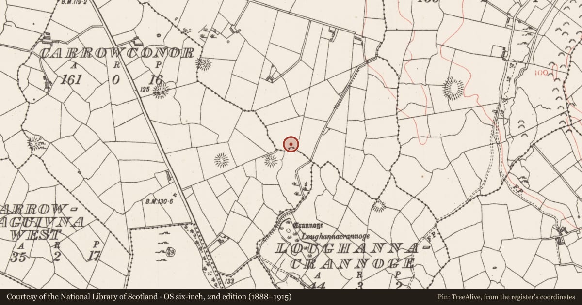 Ordnance Survey six-inch map, 2nd edition (1888–1915) covering the location of Hut site, Bunnafedia, County Sligo, with a pin at the register's coordinates