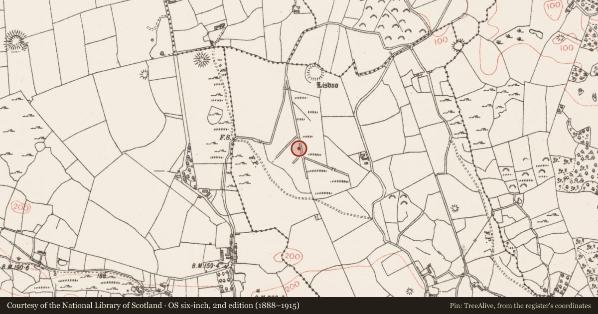 Ordnance Survey six-inch map, 2nd edition (1888–1915) covering the location of Burnt mound, Lismacbryan, County Sligo, with a pin at the register's coordinates