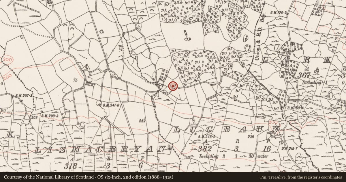 Ordnance Survey six-inch map, 2nd edition (1888–1915) covering the location of Enclosure, Lugbaun, County Sligo, with a pin at the register's coordinates
