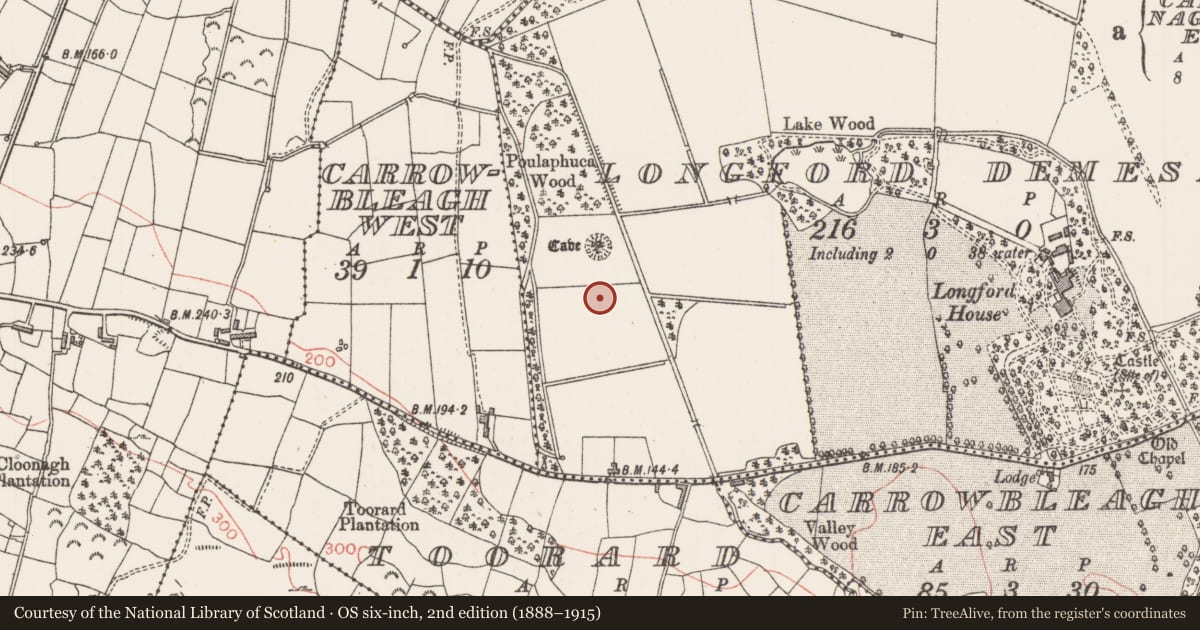 Ordnance Survey six-inch map, 2nd edition (1888–1915) covering the location of Burnt mound, Longford Demesne, County Sligo, with a pin at the register's coordinates