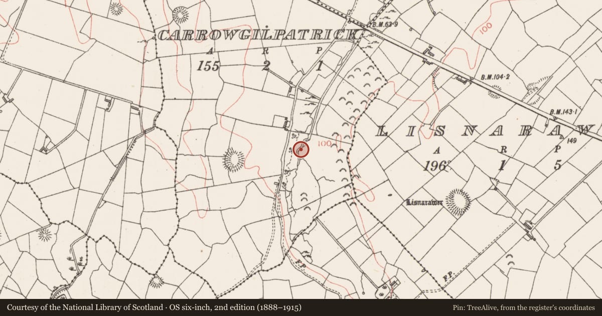 Ordnance Survey six-inch map, 2nd edition (1888–1915) covering the location of Burnt mound, Carrowgilpatrick, County Sligo, with a pin at the register's coordinates