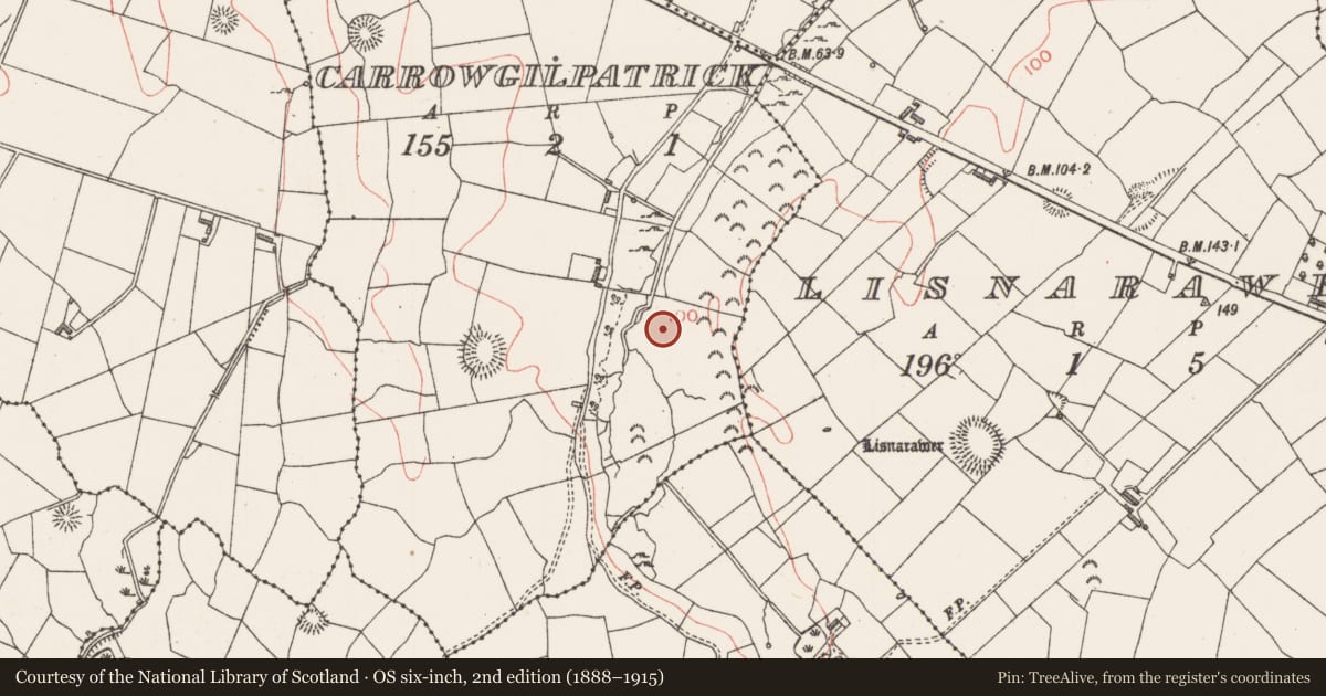 Ordnance Survey six-inch map, 2nd edition (1888–1915) covering the location of Burnt mound, Carrowgilpatrick, County Sligo, with a pin at the register's coordinates