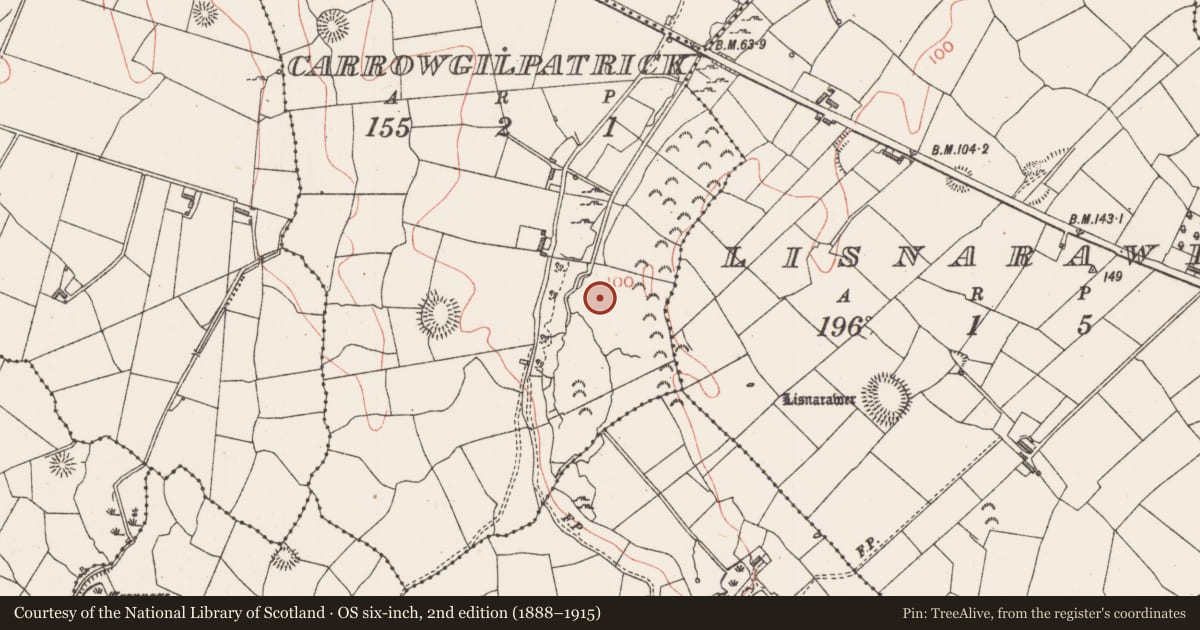 Ordnance Survey six-inch map, 2nd edition (1888–1915) covering the location of Fulacht fia, Carrowgilpatrick, County Sligo, with a pin at the register's coordinates