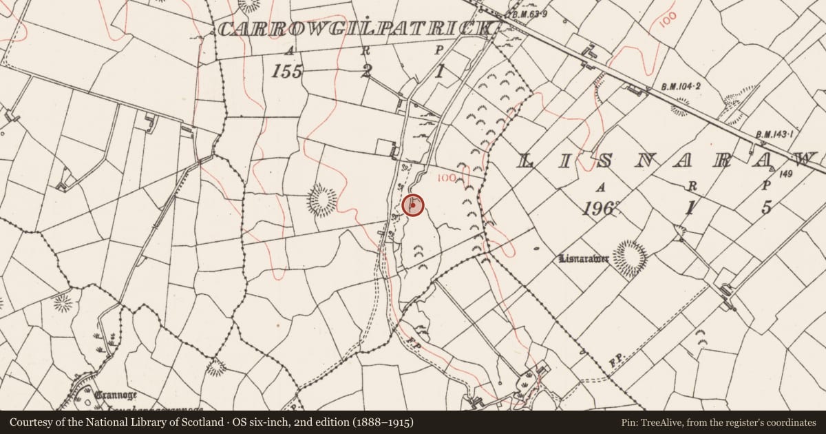 Ordnance Survey six-inch map, 2nd edition (1888–1915) covering the location of Burnt mound, Carrowgilpatrick, County Sligo, with a pin at the register's coordinates