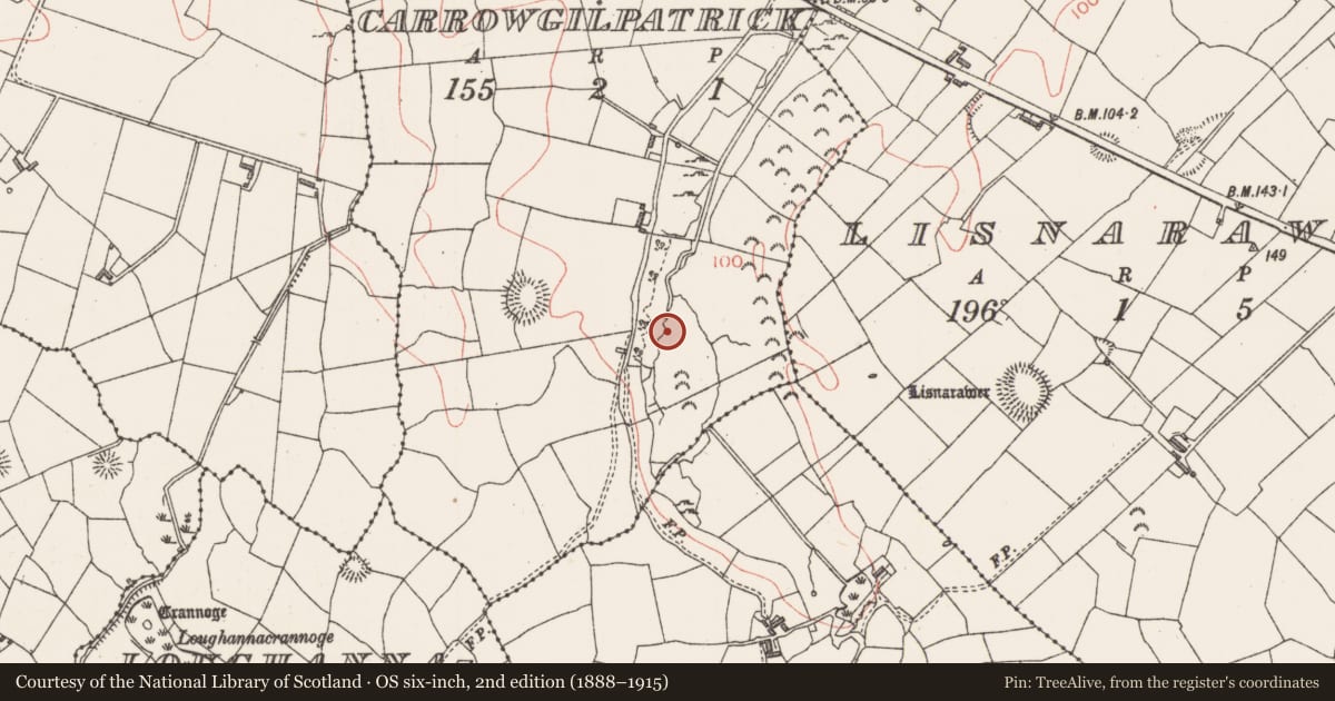 Ordnance Survey six-inch map, 2nd edition (1888–1915) covering the location of Burnt mound, Carrowgilpatrick, County Sligo, with a pin at the register's coordinates