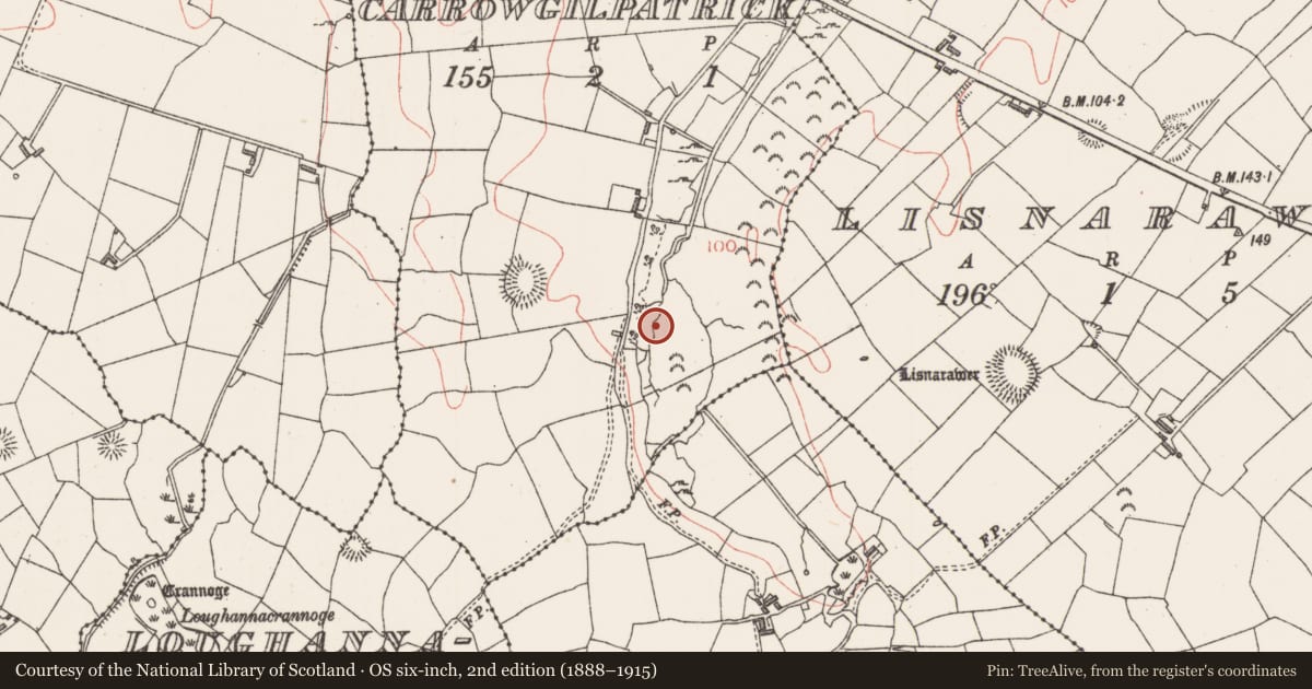 Ordnance Survey six-inch map, 2nd edition (1888–1915) covering the location of Burnt mound, Carrowgilpatrick, County Sligo, with a pin at the register's coordinates