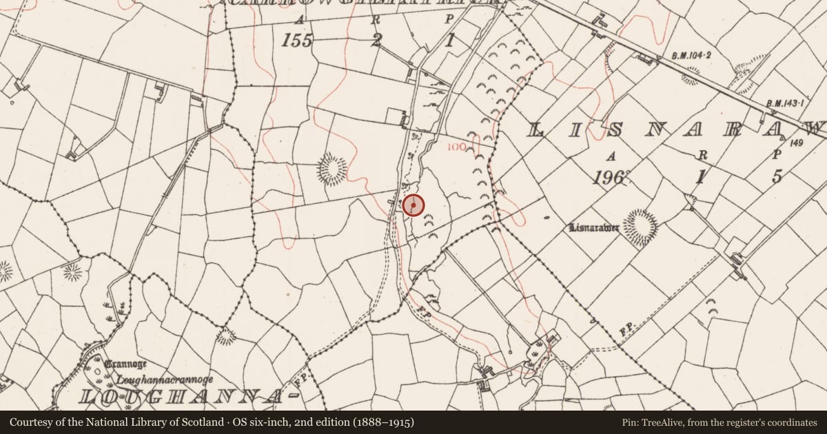 Ordnance Survey six-inch map, 2nd edition (1888–1915) covering the location of Burnt mound, Carrowgilpatrick, County Sligo, with a pin at the register's coordinates