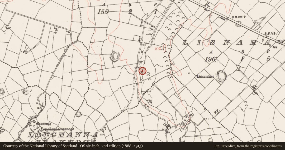 Ordnance Survey six-inch map, 2nd edition (1888–1915) covering the location of Burnt mound, Carrowgilpatrick, County Sligo, with a pin at the register's coordinates