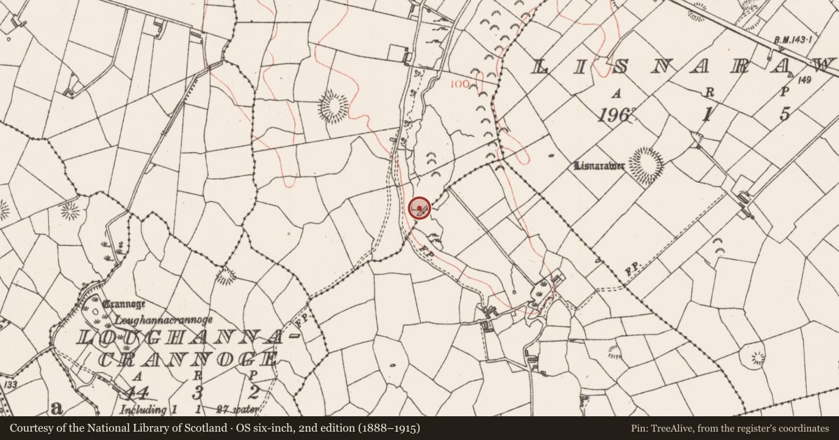 Ordnance Survey six-inch map, 2nd edition (1888–1915) covering the location of Fulacht fia, Carrowgilpatrick, County Sligo, with a pin at the register's coordinates