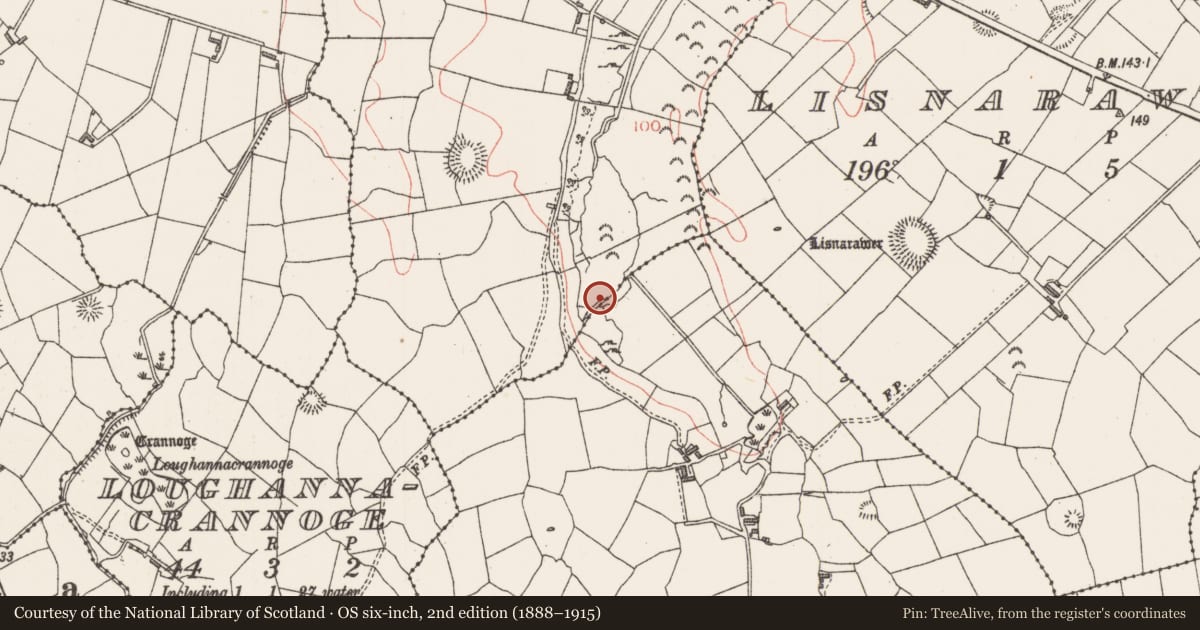 Ordnance Survey six-inch map, 2nd edition (1888–1915) covering the location of Burnt mound, Carrowgilpatrick, County Sligo, with a pin at the register's coordinates