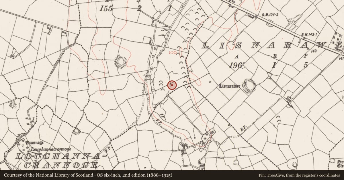 Ordnance Survey six-inch map, 2nd edition (1888–1915) covering the location of Burnt mound, Carrowgilpatrick, County Sligo, with a pin at the register's coordinates