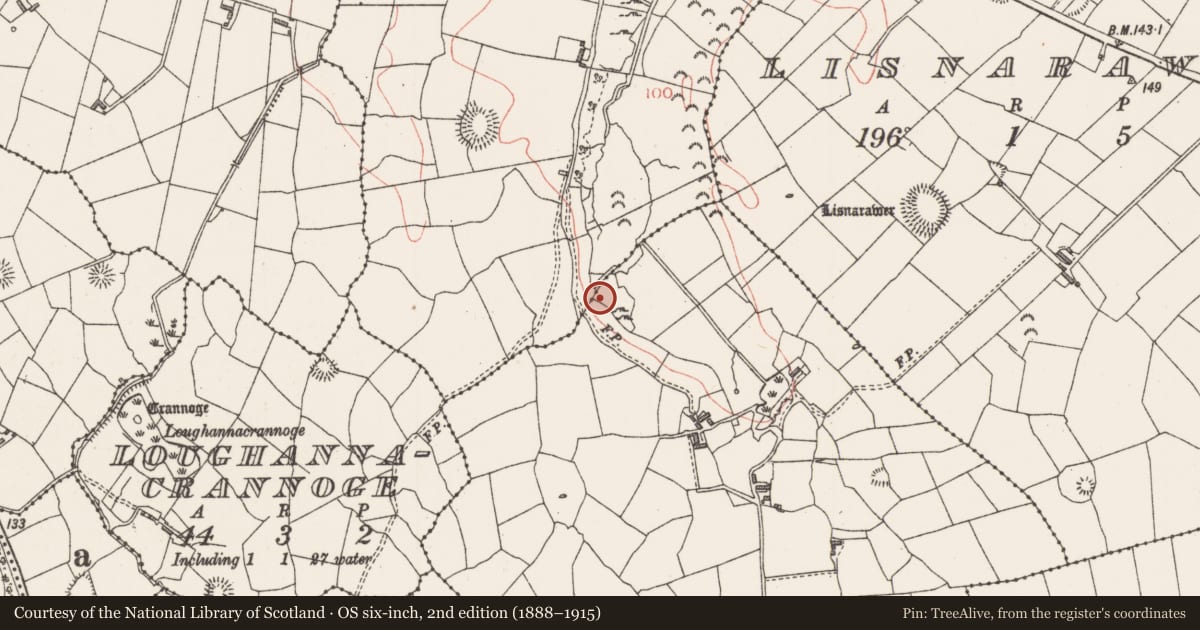 Ordnance Survey six-inch map, 2nd edition (1888–1915) covering the location of Burnt mound, Cloonakeemoge, County Sligo, with a pin at the register's coordinates