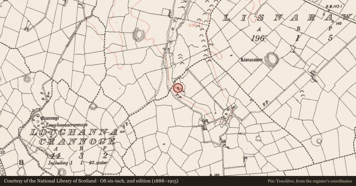 Ordnance Survey six-inch map, 2nd edition (1888–1915) covering the location of Fulacht fia, Cloonakeemoge, County Sligo, with a pin at the register's coordinates