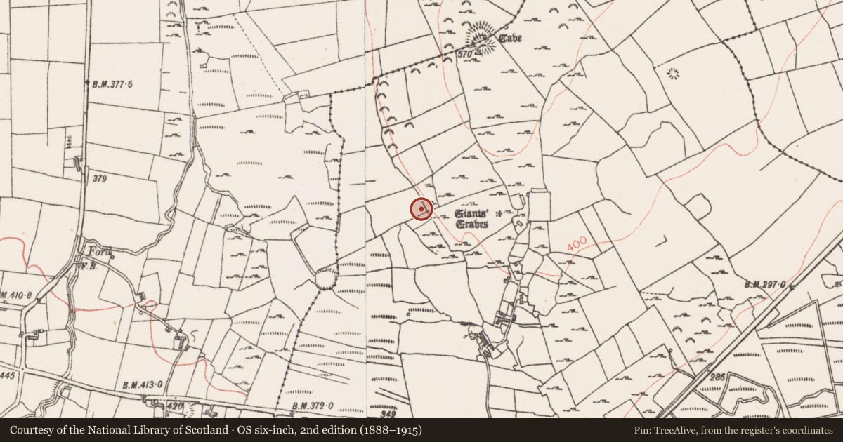 Ordnance Survey six-inch map, 2nd edition (1888–1915) covering the location of Decorated stone, Carrowculleen, County Sligo, with a pin at the register's coordinates