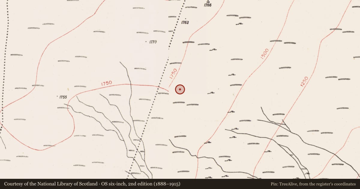 Ordnance Survey six-inch map, 2nd edition (1888–1915) covering the location of Megalithic tomb - passage tomb, Tawnatrohaun, County Sligo, with a pin at the register's coordinates