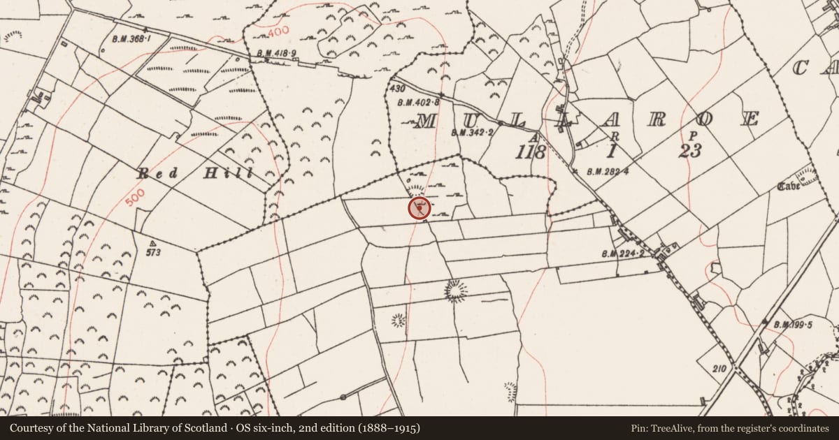 Ordnance Survey six-inch map, 2nd edition (1888–1915) covering the location of Ringfort - cashel, Lecarrow, County Sligo, with a pin at the register's coordinates