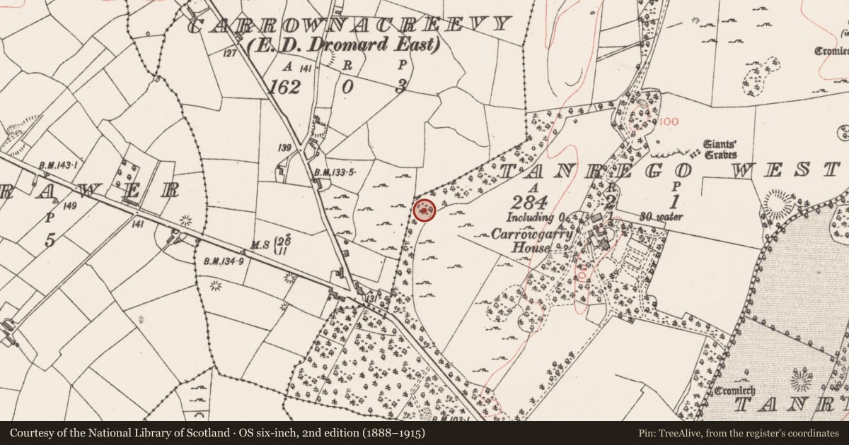 Ordnance Survey six-inch map, 2nd edition (1888–1915) covering the location of Souterrain, Tanrego West, County Sligo, with a pin at the register's coordinates