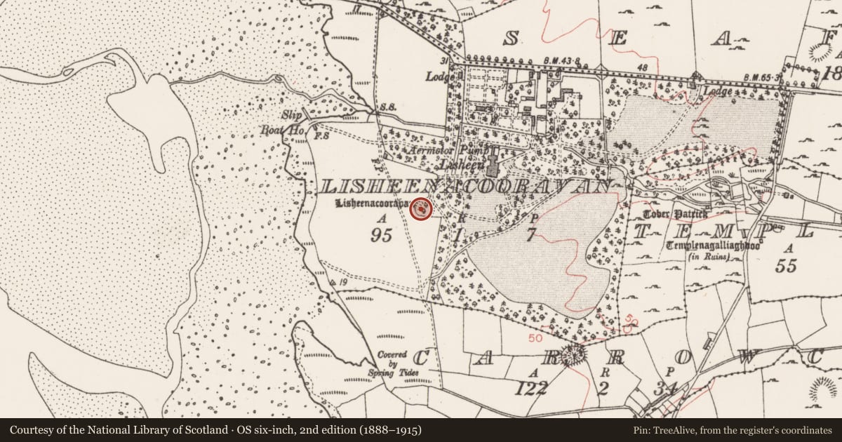Ordnance Survey six-inch map, 2nd edition (1888–1915) covering the location of Ringfort - rath, Lisheenacooravan, County Sligo, with a pin at the register's coordinates