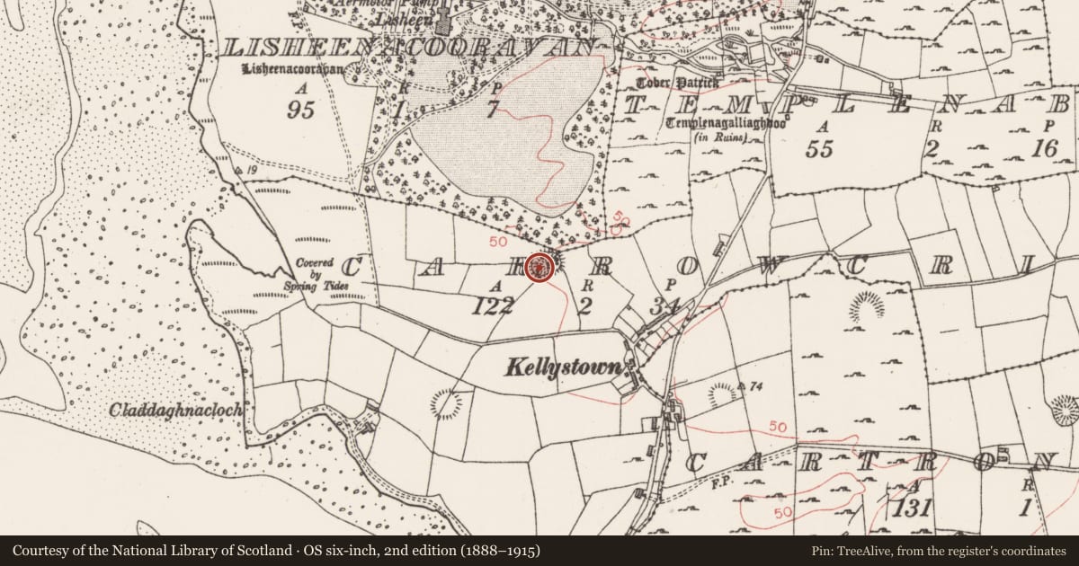 Ordnance Survey six-inch map, 2nd edition (1888–1915) covering the location of Ringfort - rath, Carrowcrin, County Sligo, with a pin at the register's coordinates