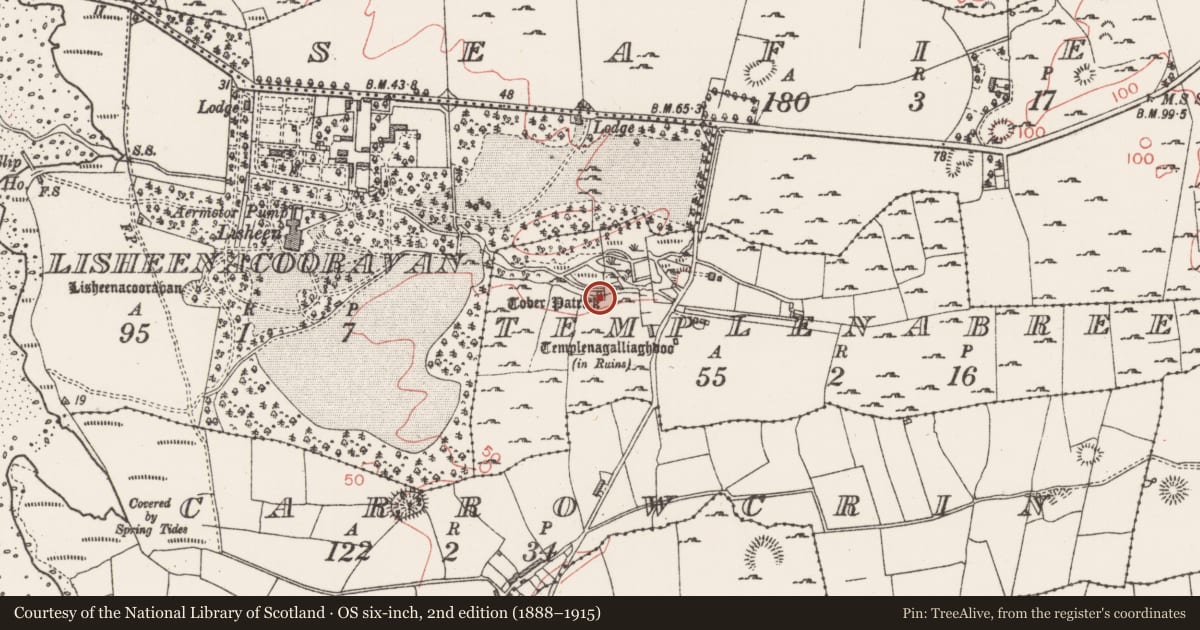Ordnance Survey six-inch map, 2nd edition (1888–1915) covering the location of Ritual site - holy well, Templenabree, County Sligo, with a pin at the register's coordinates